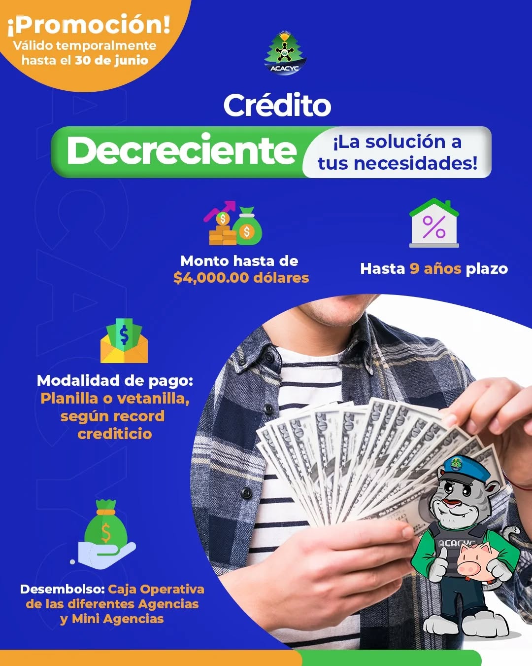 CREDITO DECRECIENTE 01